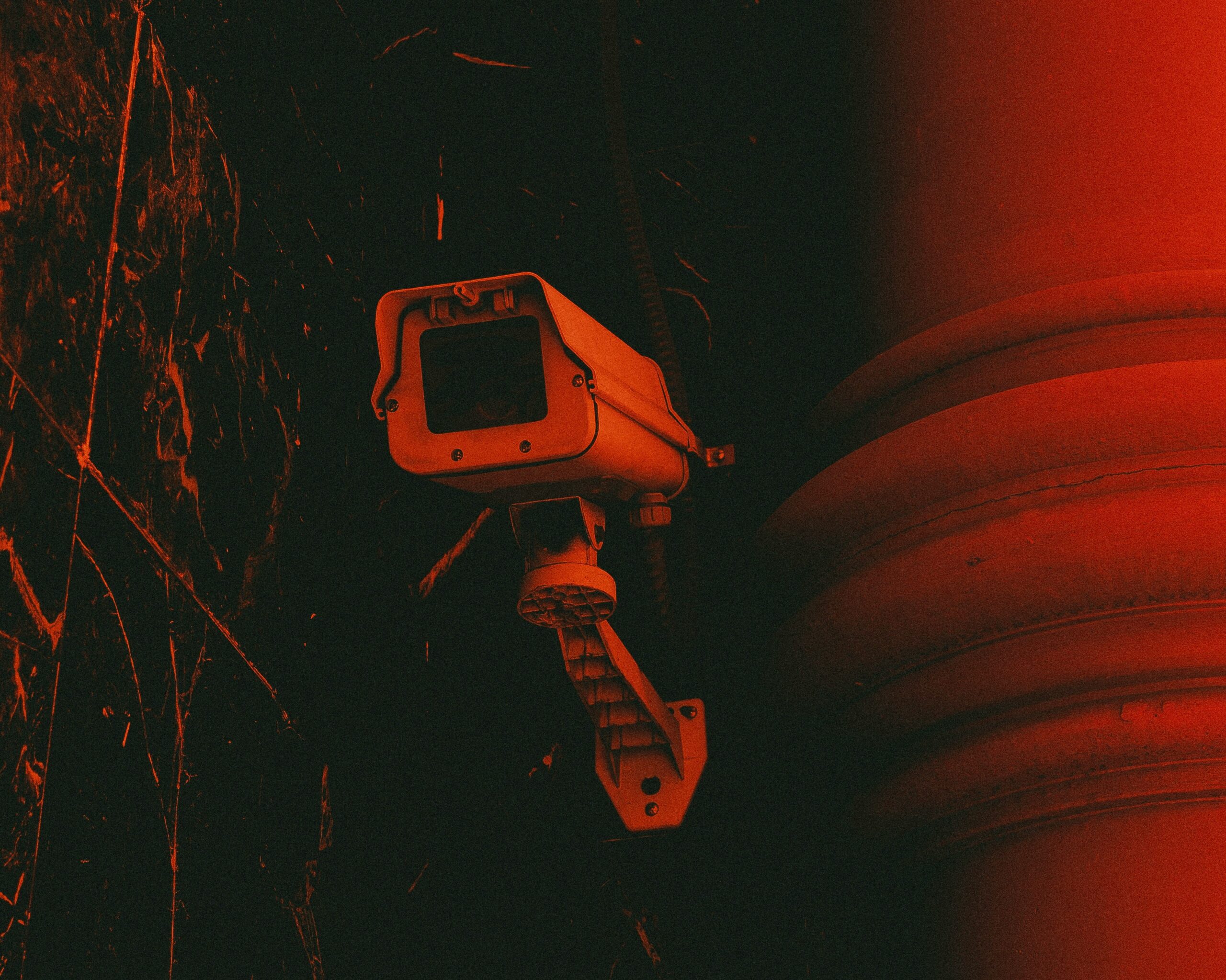 Foto Video Araani